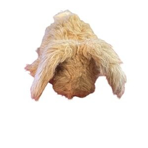 Vintage R. Dakin & Co 1983 Bunny Rabbit Hand Puppet Tan 13" Floppy Ear